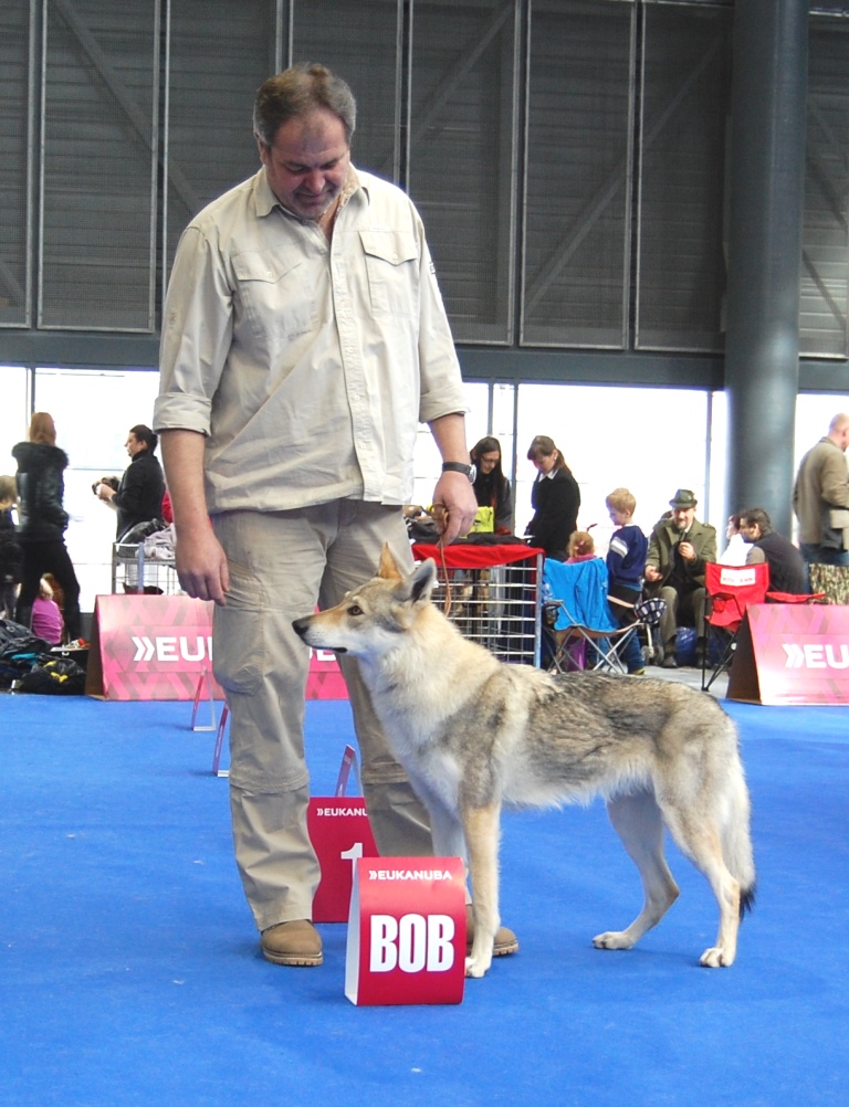 Duocacib Brno 2014 BOB