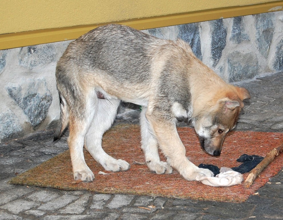 Doby a ponožky