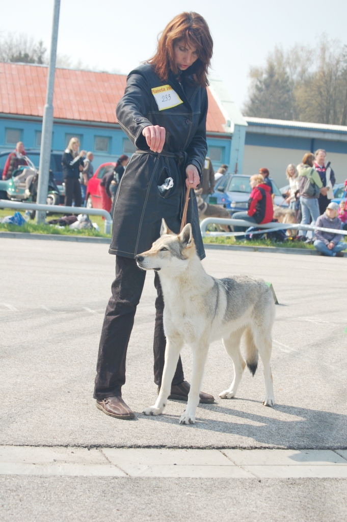 Andulka a Xitta v kruhu