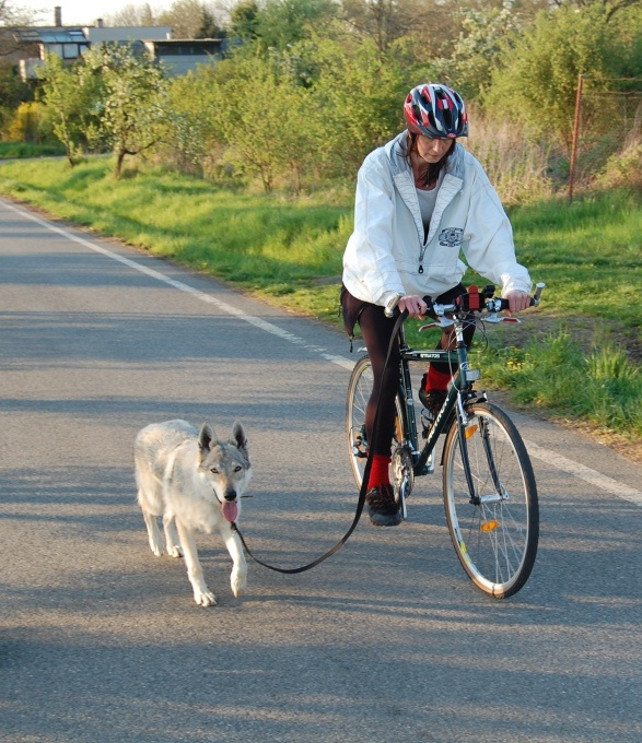 pekelné soustředění