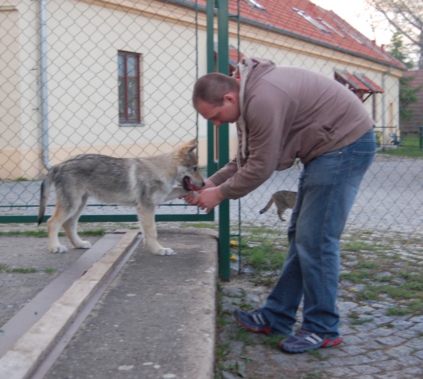 Api se svým páníčkem